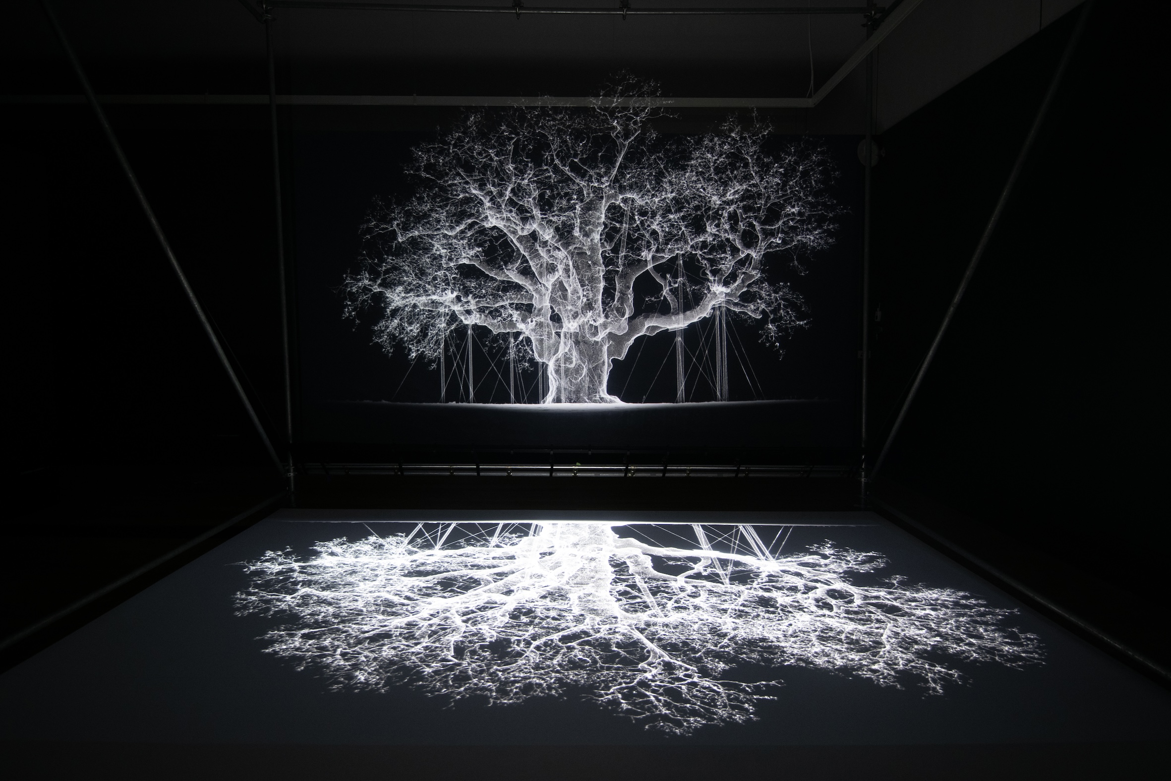 Mat Collishaw Petrichor exhibition RBG Kew