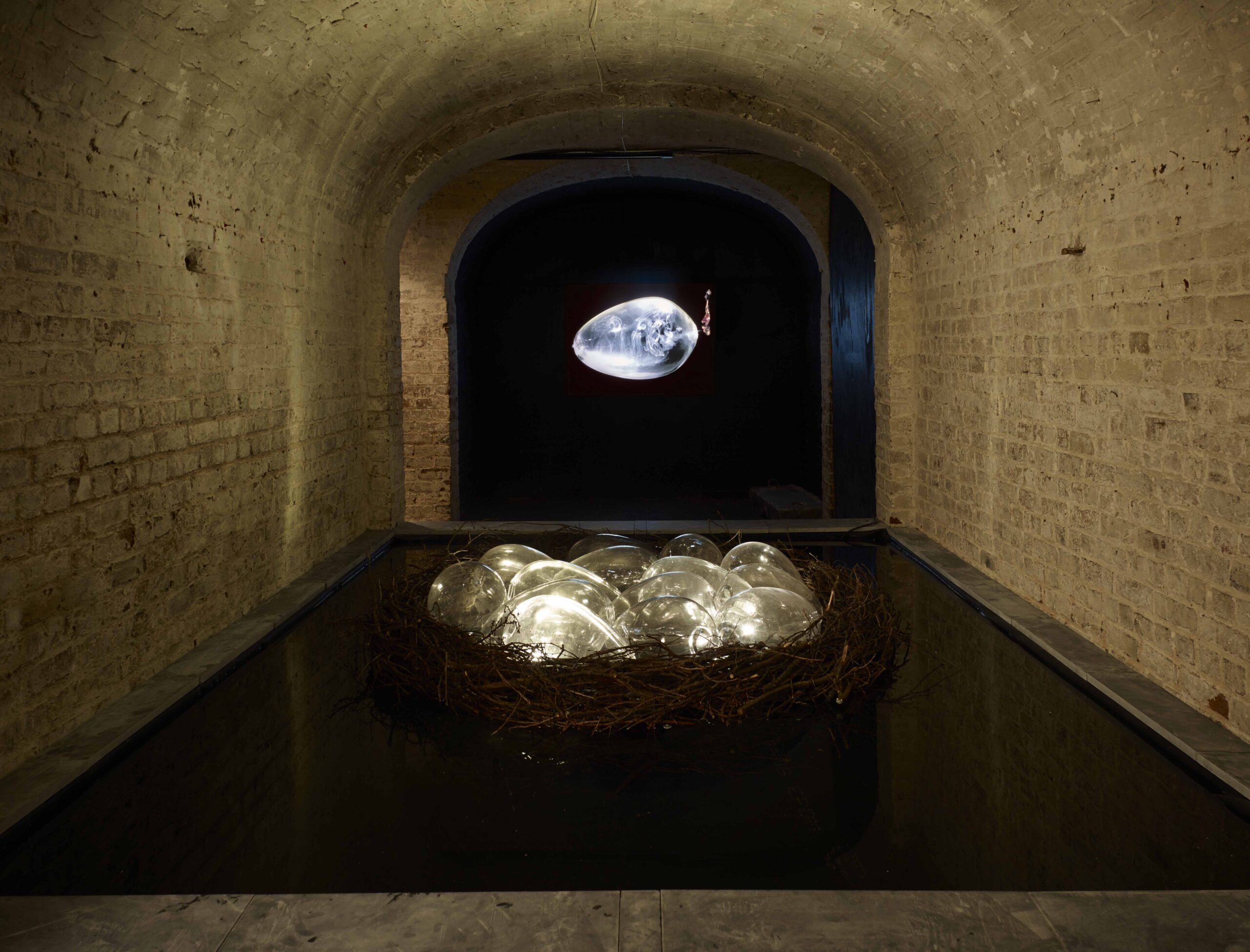 Koen Vanmechelen Installation ©_StephenWhite