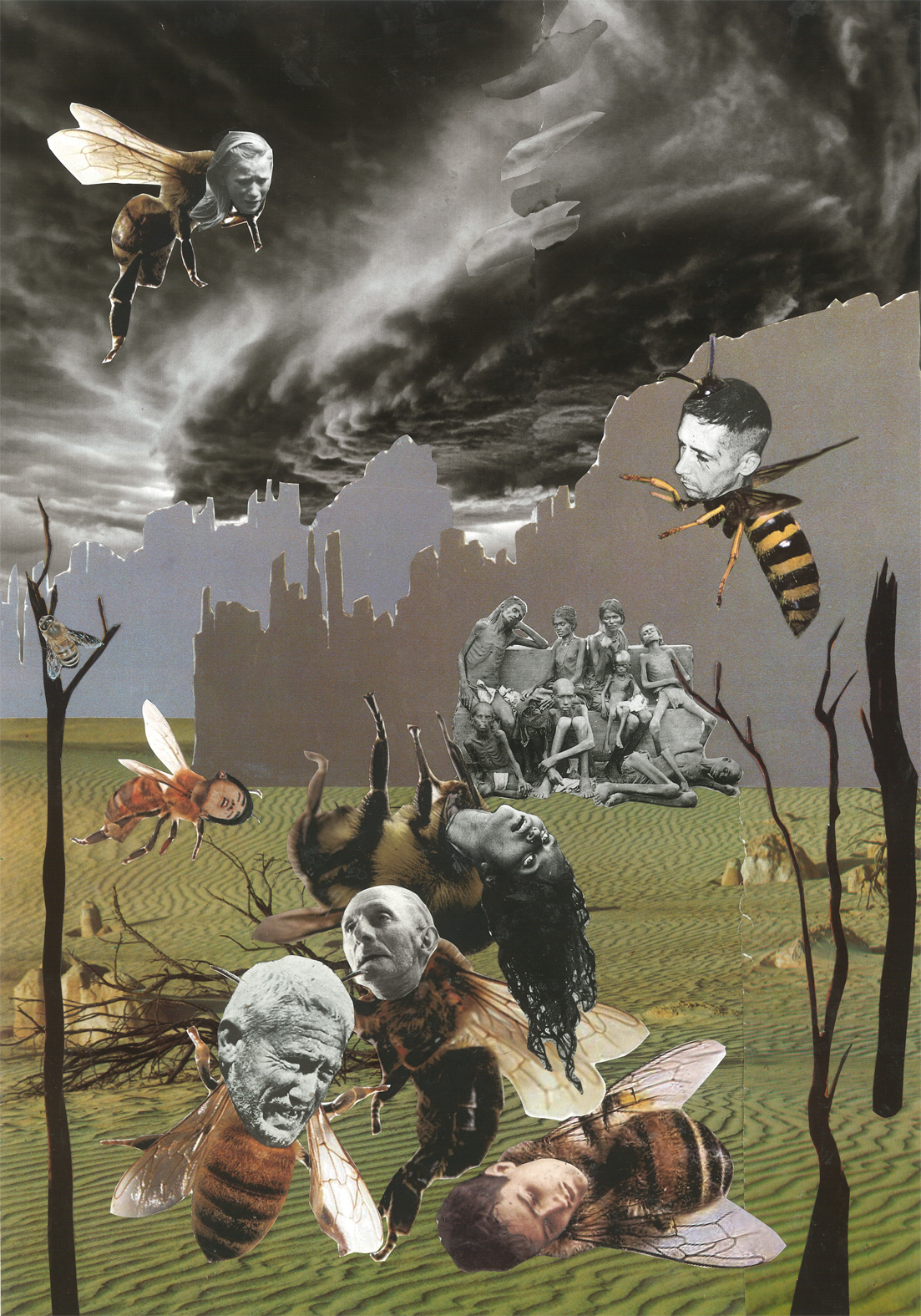 Time For Outrage / Seana Gavin "Save The Bees"
