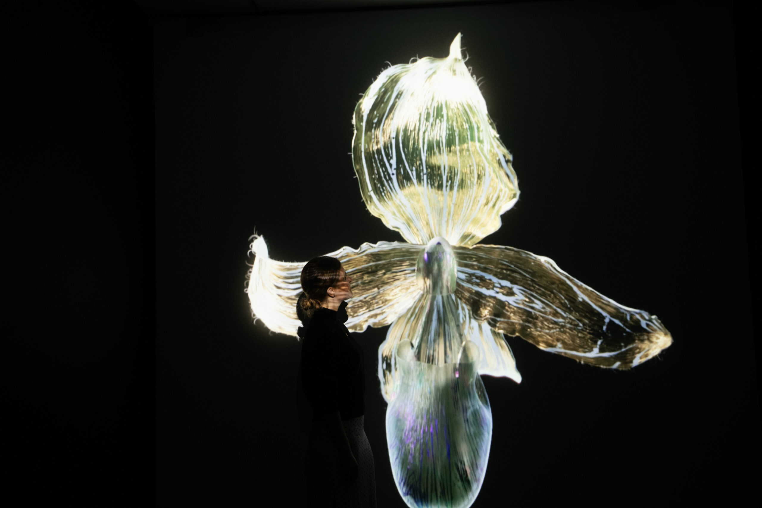 Mat Collishaw Petrichor exhibition RBG Kew