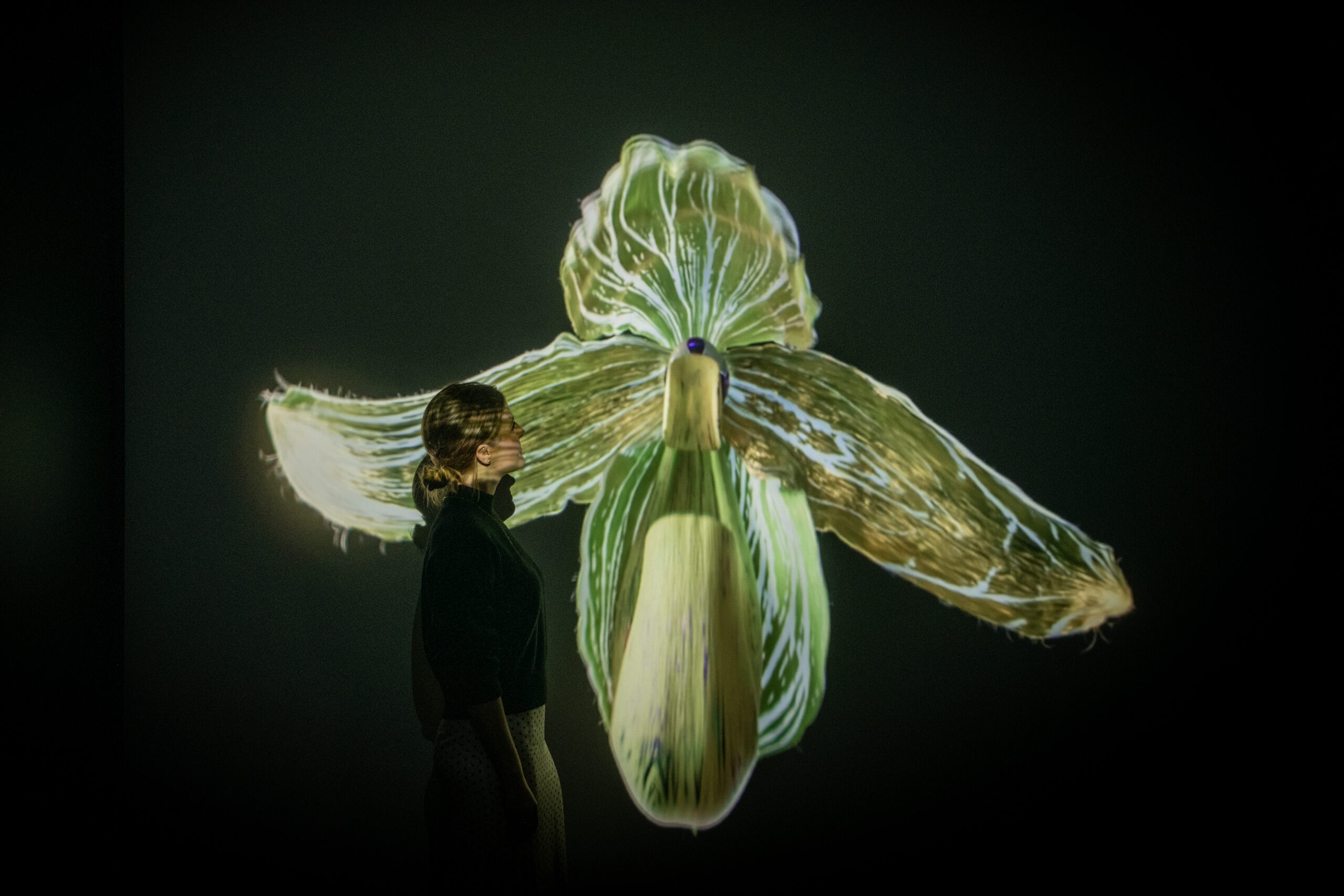 Mat Collishaw Petrichor exhibition RBG Kew
