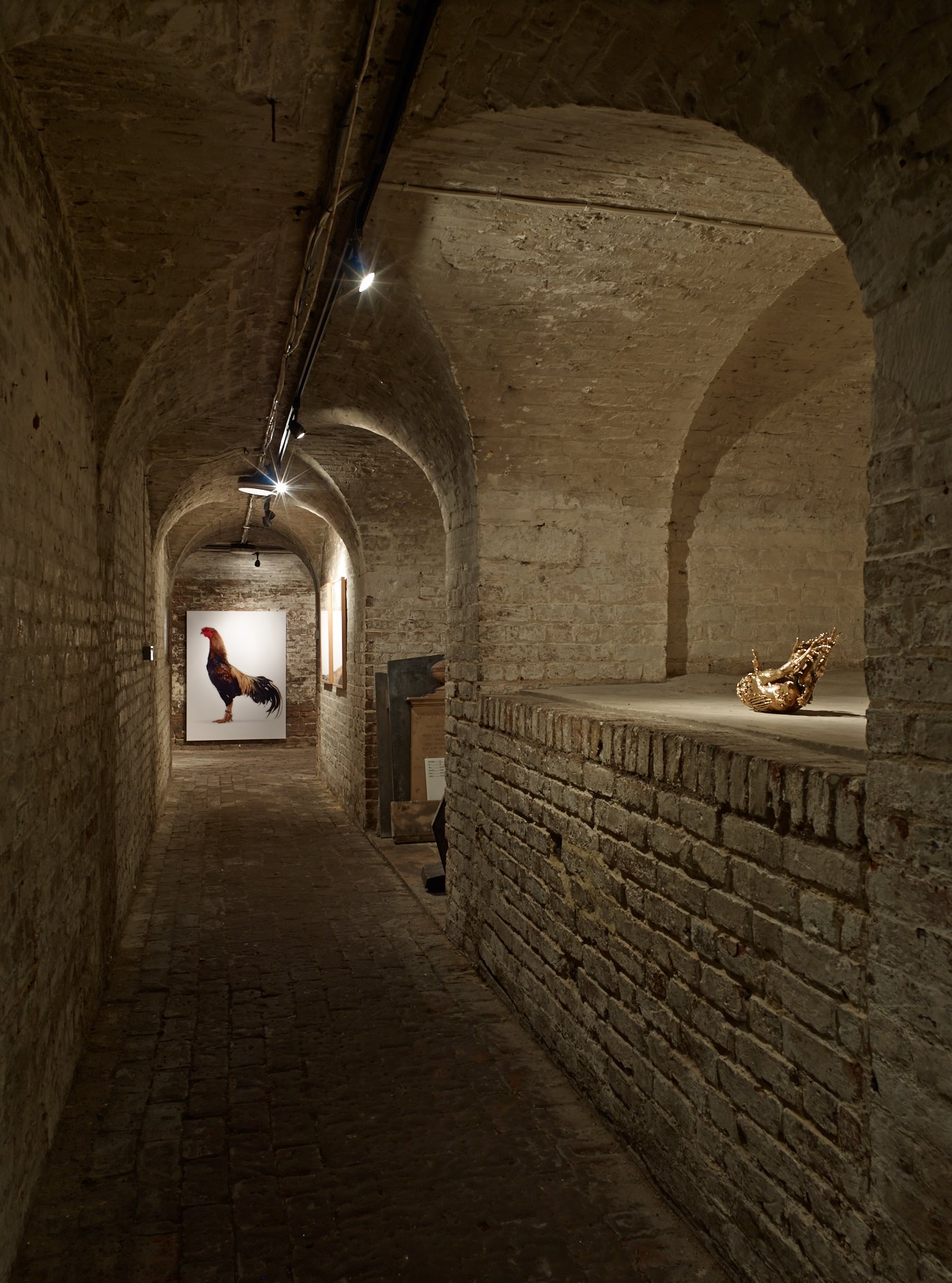 Koen Vanmechelen Installation ©_StephenWhite
