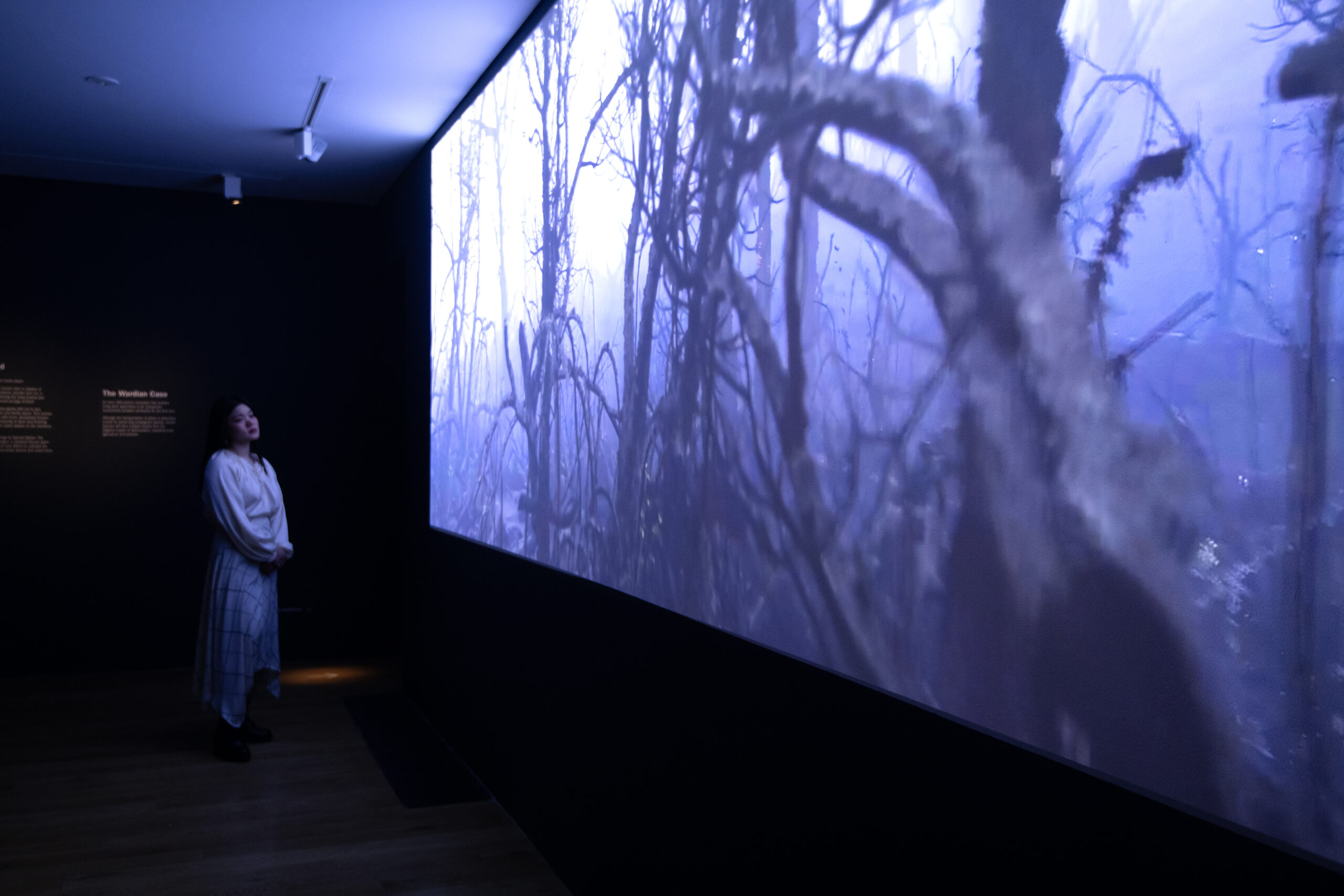 Mat Collishaw Petrichor exhibition RBG Kew