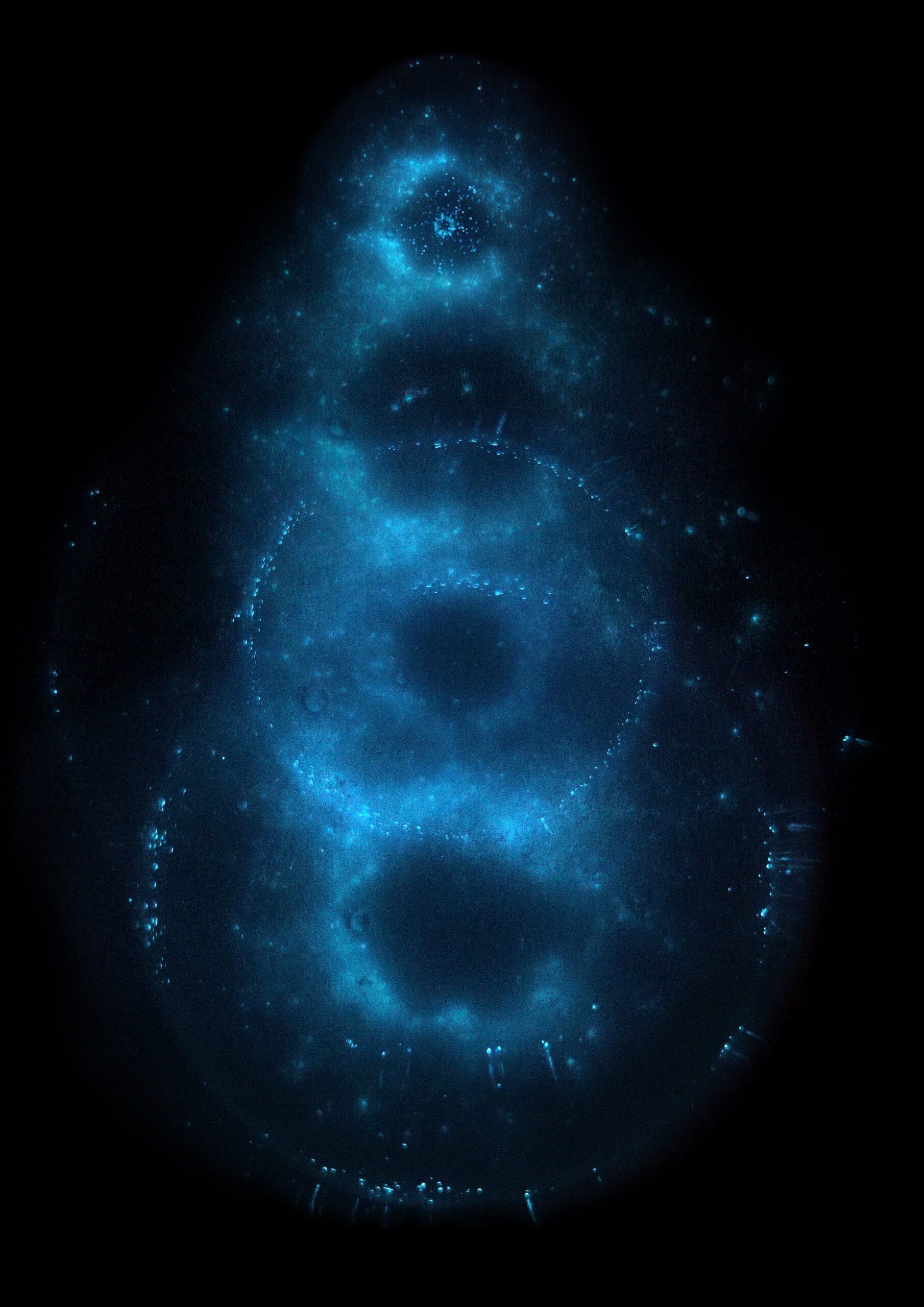 Cosmic Island