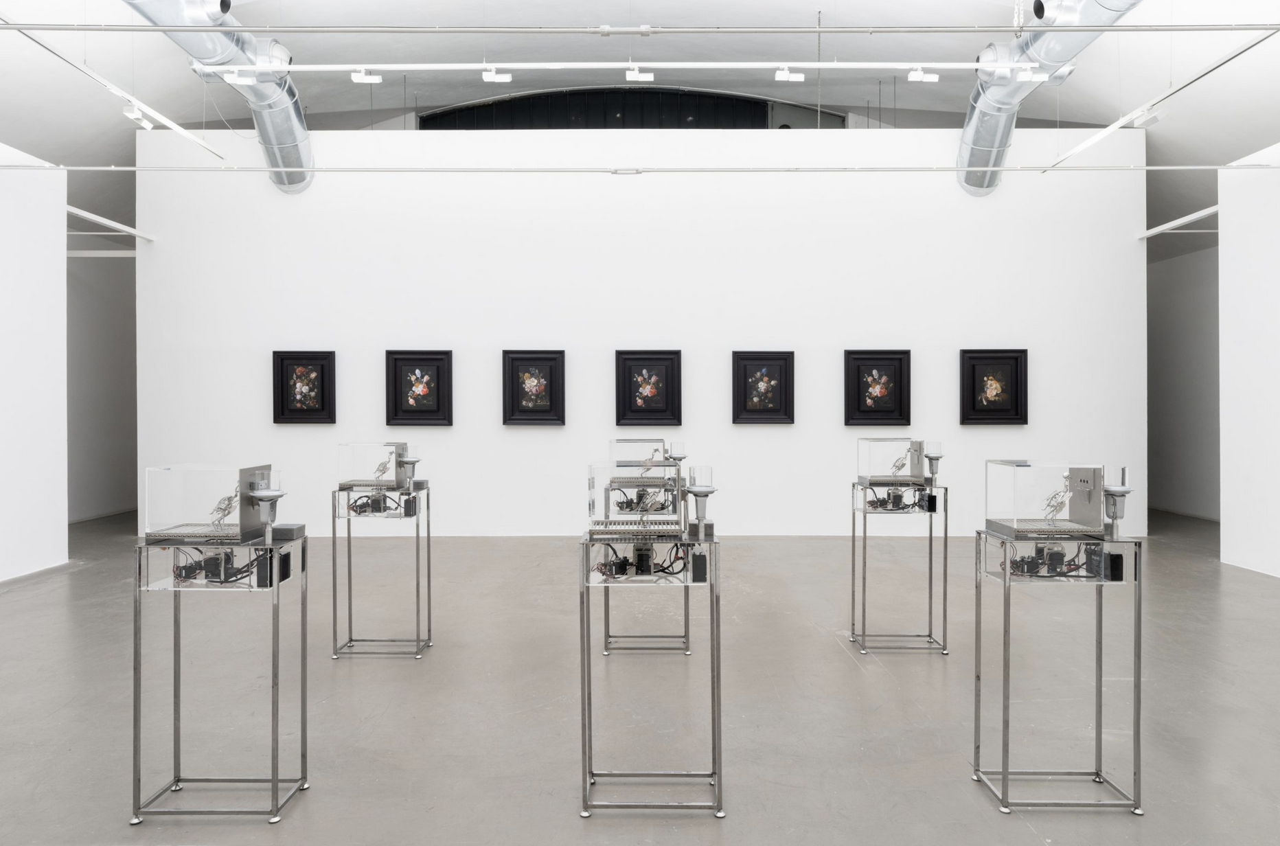Installation view. Image ©Lorenzo Palmieri