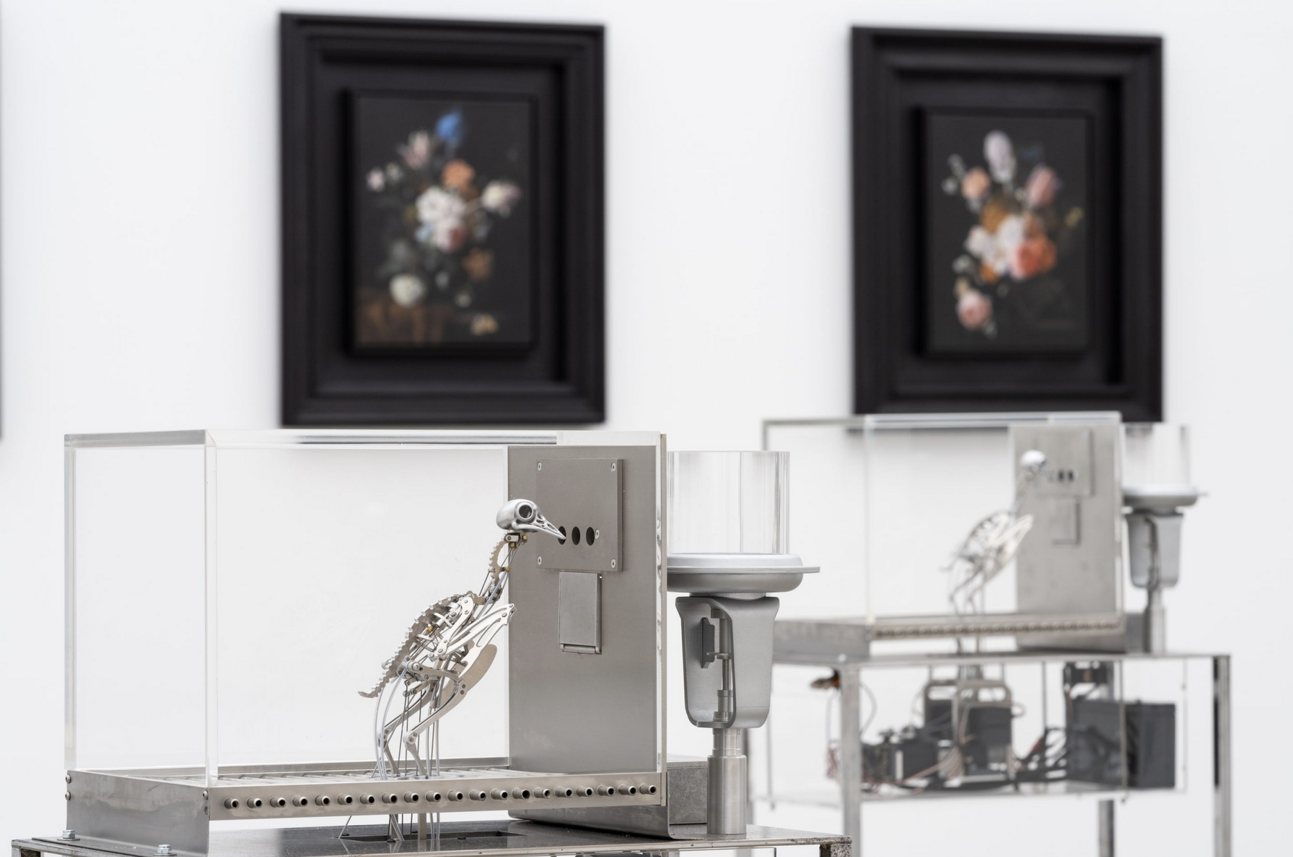 Installation view. Image ©Lorenzo Palmieri