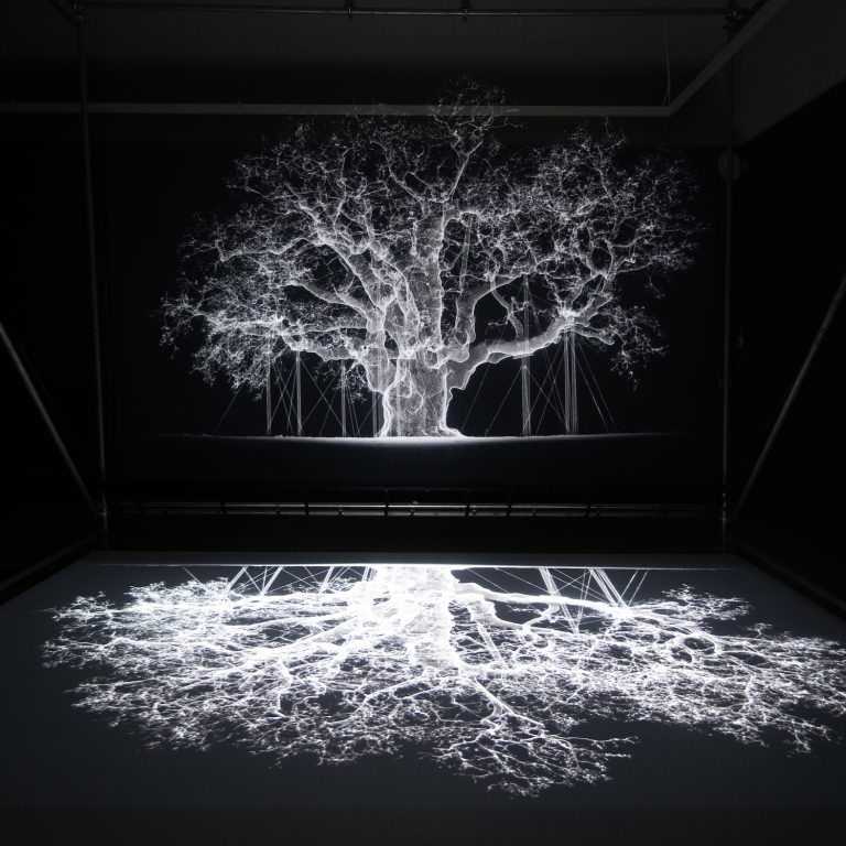 Mat Collishaw Petrichor exhibition RBG Kew