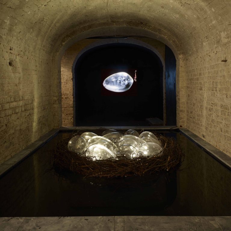 Koen Vanmechelen Installation ©_StephenWhite