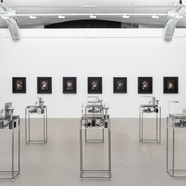 Installation view. Image ©Lorenzo Palmieri